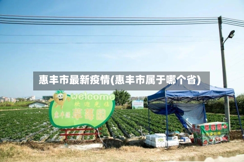 惠丰市最新疫情(惠丰市属于哪个省)-第3张图片
