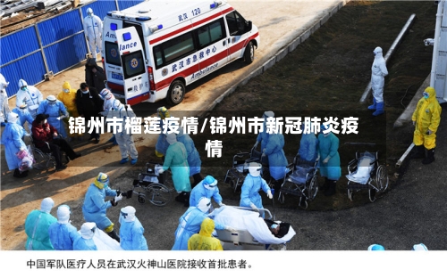 锦州市榴莲疫情/锦州市新冠肺炎疫情-第2张图片