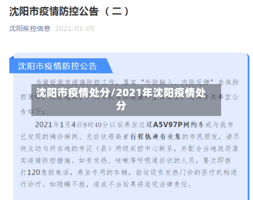沈阳市疫情处分/2021年沈阳疫情处分-第3张图片