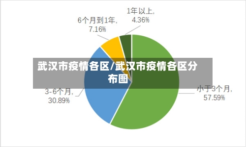 武汉市疫情各区/武汉市疫情各区分布图-第3张图片