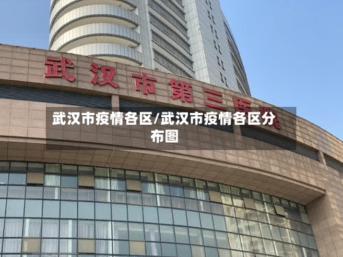 武汉市疫情各区/武汉市疫情各区分布图-第2张图片