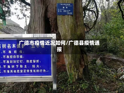 广德市疫情近况如何/广德县疫情通报-第2张图片