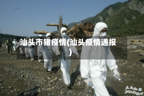 汕头市猪疫情(汕头疫情通报)-第2张图片