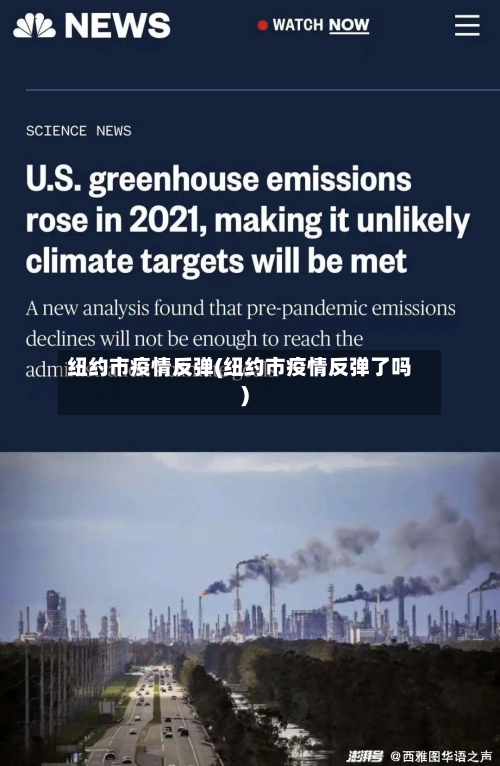 纽约市疫情反弹(纽约市疫情反弹了吗)-第3张图片