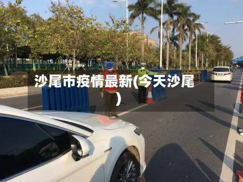 沙尾市疫情最新(今天沙尾)-第2张图片