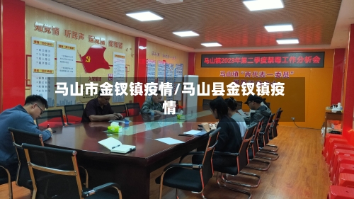 马山市金钗镇疫情/马山县金钗镇疫情-第2张图片