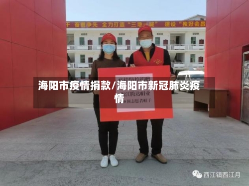 海阳市疫情捐款/海阳市新冠肺炎疫情