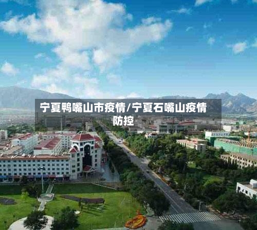 宁夏鸭嘴山市疫情/宁夏石嘴山疫情防控