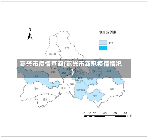 嘉兴市疫情查询(嘉兴市新冠疫情情况)-第2张图片