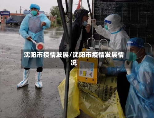 沈阳市疫情发展/沈阳市疫情发展情况-第2张图片