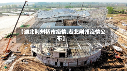 【湖北荆州桥市疫情,湖北荆州疫情公布】