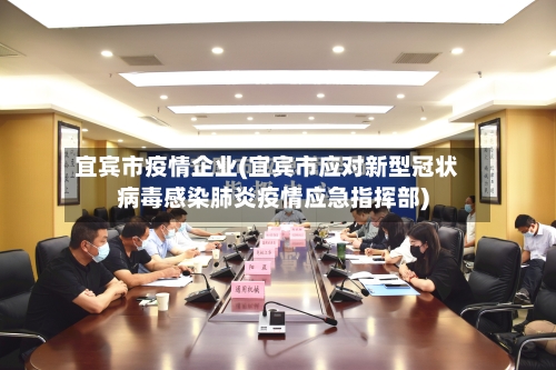 宜宾市疫情企业(宜宾市应对新型冠状病毒感染肺炎疫情应急指挥部)
