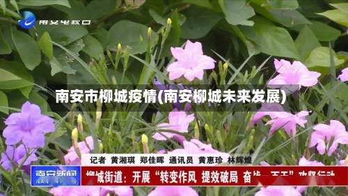 南安市柳城疫情(南安柳城未来发展)-第2张图片