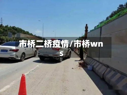 市桥二桥疫情/市桥wns-第2张图片