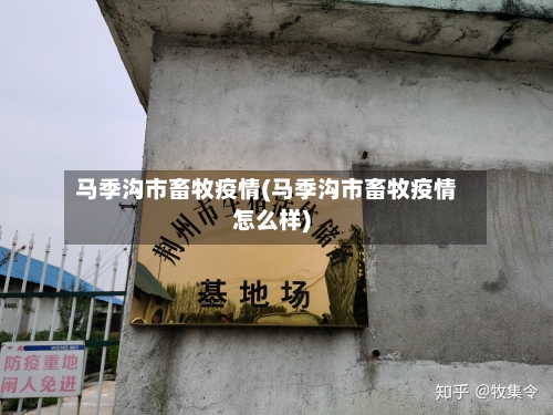 马季沟市畜牧疫情(马季沟市畜牧疫情怎么样)
