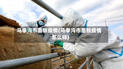 马季沟市畜牧疫情(马季沟市畜牧疫情怎么样)-第3张图片