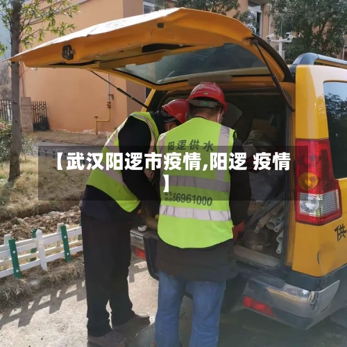 【武汉阳逻市疫情,阳逻 疫情】