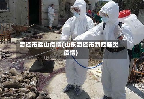 菏泽市梁山疫情(山东菏泽市新冠肺炎疫情)-第3张图片