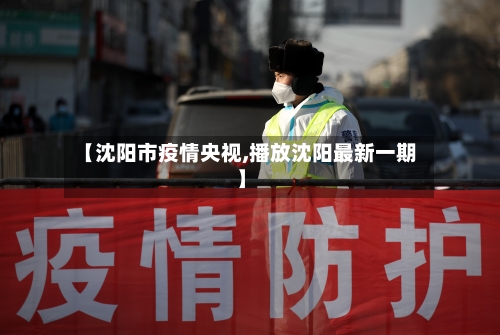 【沈阳市疫情央视,播放沈阳最新一期】-第3张图片