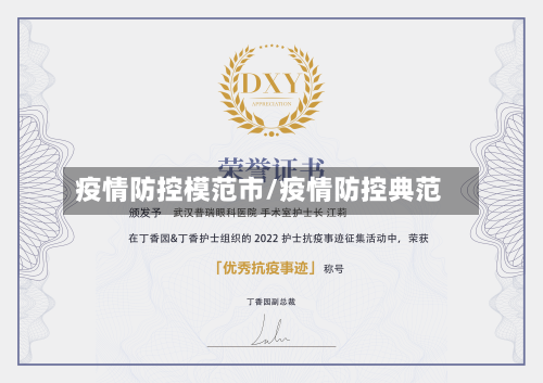 疫情防控模范市/疫情防控典范