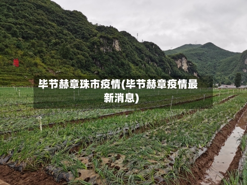 毕节赫章珠市疫情(毕节赫章疫情最新消息)