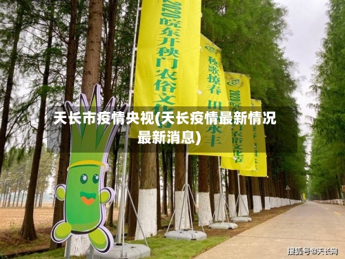天长市疫情央视(天长疫情最新情况最新消息)