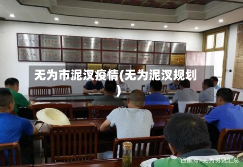 无为市泥汊疫情(无为泥汊规划)