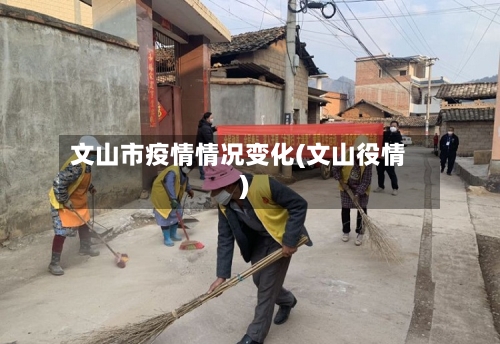 文山市疫情情况变化(文山役情)