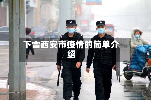 下雪西安市疫情的简单介绍-第2张图片