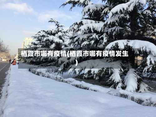 栖霞市哪有疫情(栖霞市哪有疫情发生)