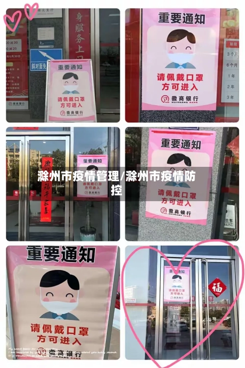 滁州市疫情管理/滁州市疫情防控