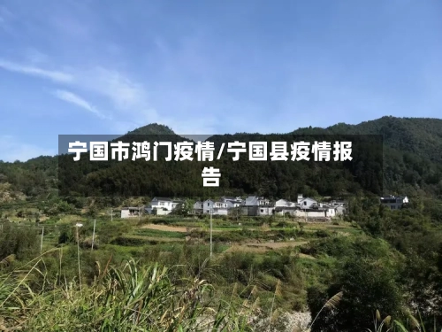 宁国市鸿门疫情/宁国县疫情报告-第2张图片