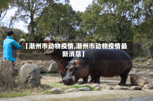 【潮州市动物疫情,潮州市动物疫情最新消息】