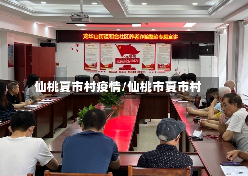 仙桃夏市村疫情/仙桃市夏市村-第2张图片