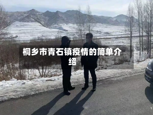 桐乡市青石镇疫情的简单介绍