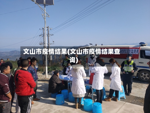 文山市疫情结果(文山市疫情结果查询)