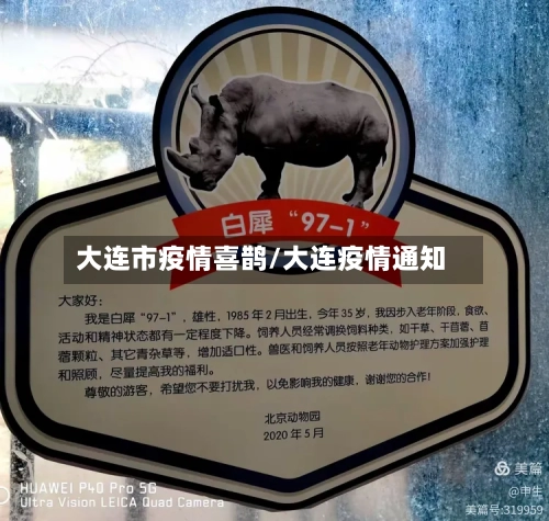 大连市疫情喜鹊/大连疫情通知-第3张图片
