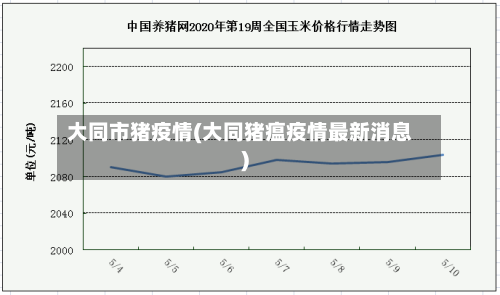 大同市猪疫情(大同猪瘟疫情最新消息)