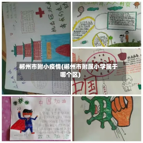 郴州市附小疫情(郴州市附属小学属于哪个区)-第3张图片