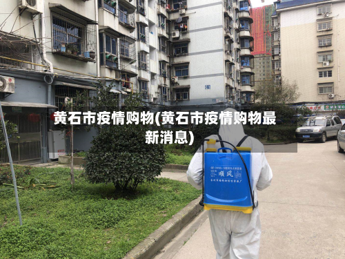 黄石市疫情购物(黄石市疫情购物最新消息)-第3张图片