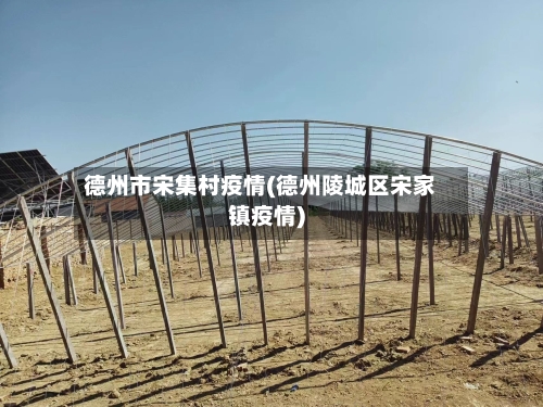 德州市宋集村疫情(德州陵城区宋家镇疫情)-第2张图片