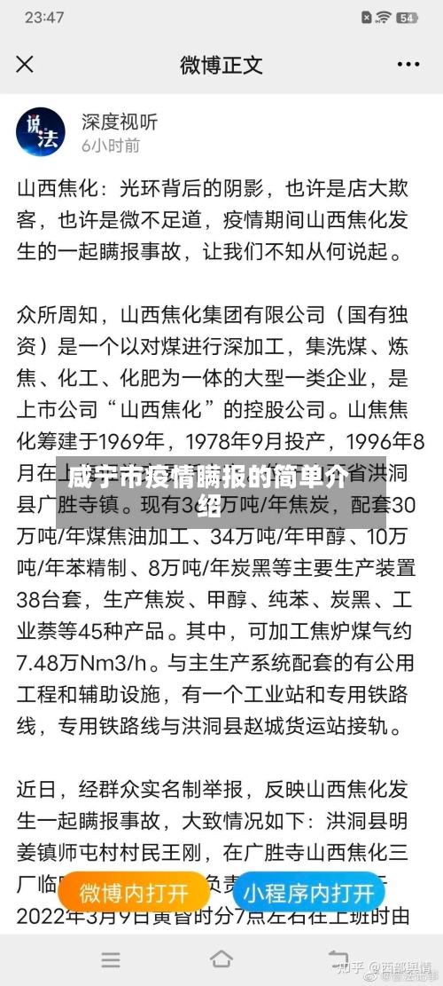 咸宁市疫情瞒报的简单介绍