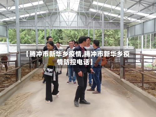 【腾冲市新华乡疫情,腾冲市新华乡疫情防控电话】-第2张图片