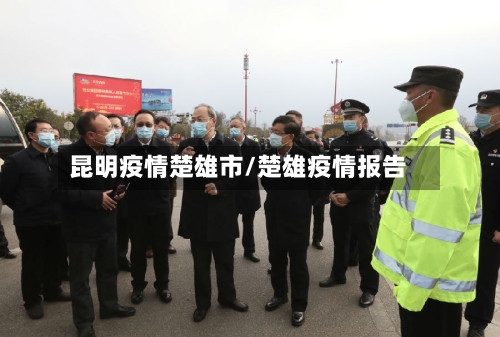 昆明疫情楚雄市/楚雄疫情报告-第2张图片