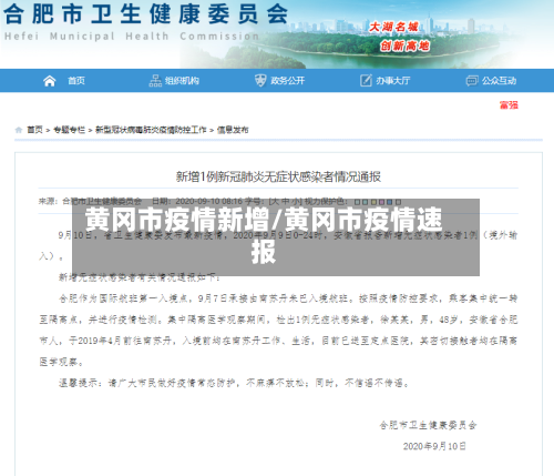 黄冈市疫情新增/黄冈市疫情速报-第3张图片