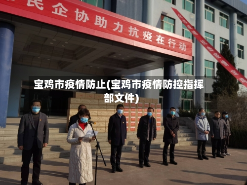 宝鸡市疫情防止(宝鸡市疫情防控指挥部文件)