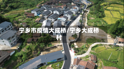 宁乡市疫情大成桥/宁乡大成桥村