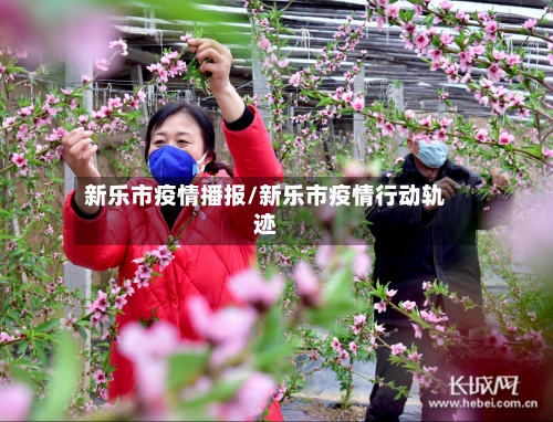 新乐市疫情播报/新乐市疫情行动轨迹