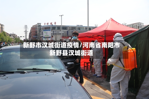 新野市汉城街道疫情/河南省南阳市新野县汉城街道-第2张图片