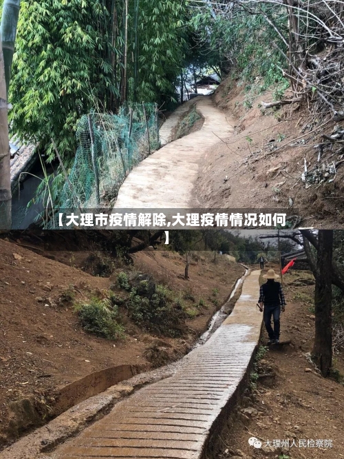 【大理市疫情解除,大理疫情情况如何】-第3张图片